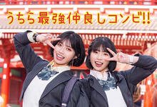 MIDV-154 最乱修学旅行！短发巨乳「石原希望 x 葵いぶき」梦幻共演！-沐风文化