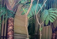 赵露思：我的夏日ootd🌴 ​​-沐风文化