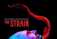 血族S01 ~S04全集 2014-2017美剧 HD1080P 迅雷下载-沐风文化